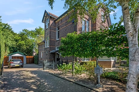 undefined main image