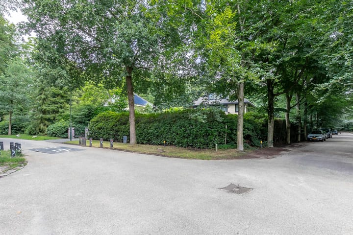 Photo 88 of van Lyndenlaan 10