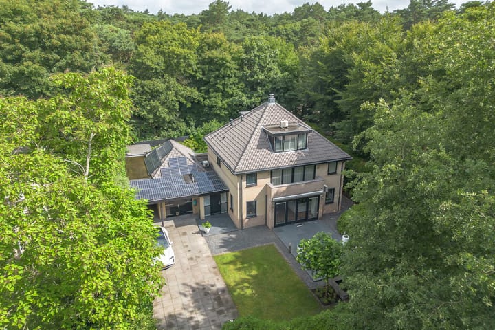 Photo 91 of van Lyndenlaan 10