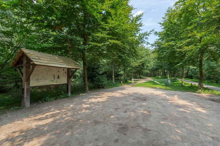 Photo 93 of van Lyndenlaan 10