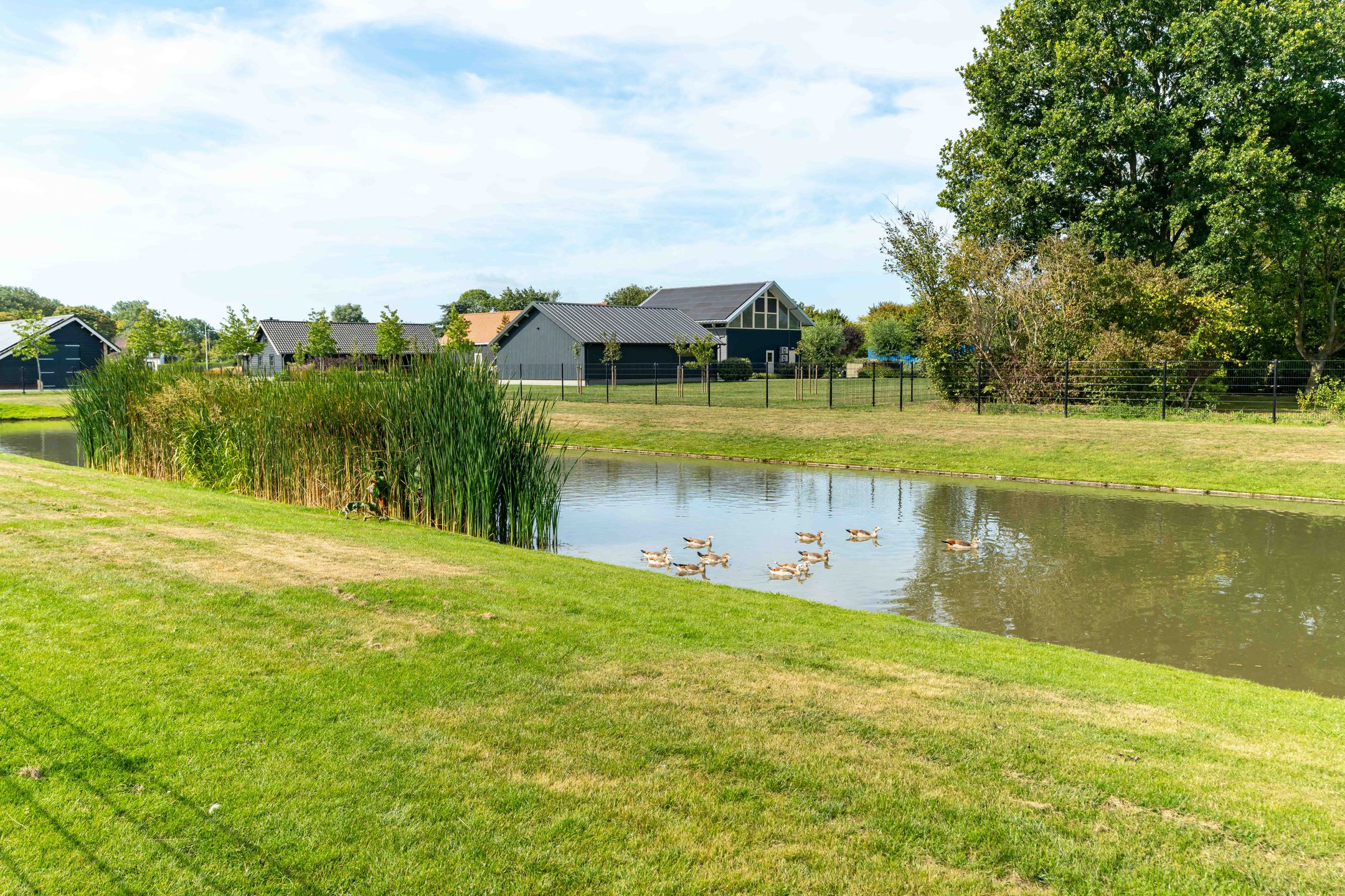 Foto 60 van Slikveld 8