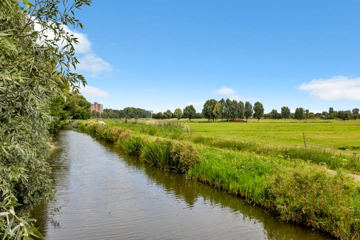 Foto 37 van Lichtboei 34