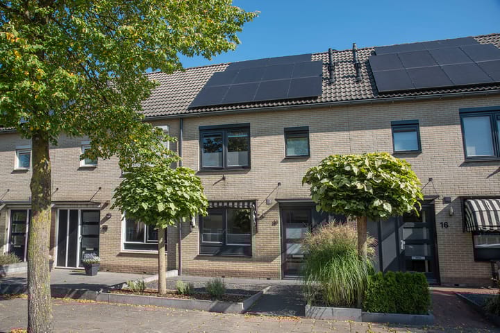 Foto 1 van Salamanderstraat 18