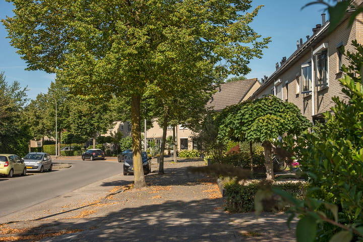 Foto 31 van Salamanderstraat 18