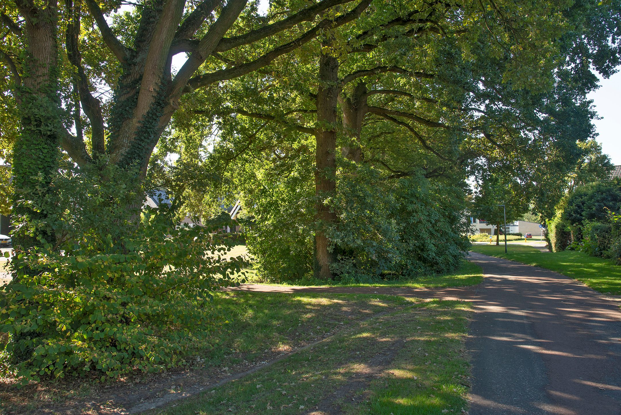 Foto 33 van Salamanderstraat 18