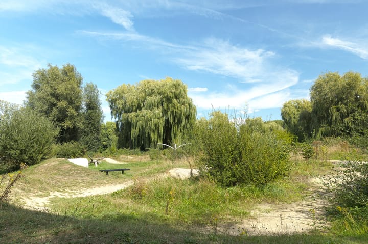 Foto 33 van Maasstraat 19