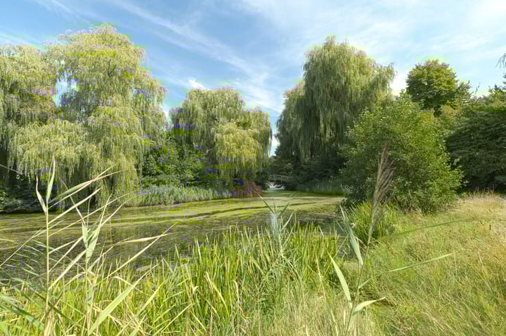 Foto 34 van Maasstraat 19