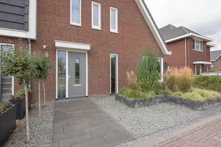 Foto 5 van Zomerappel 25