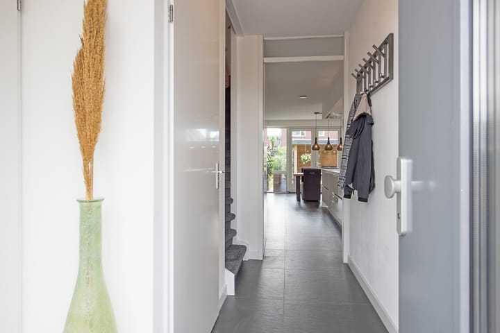 Foto 6 van Zomerappel 25