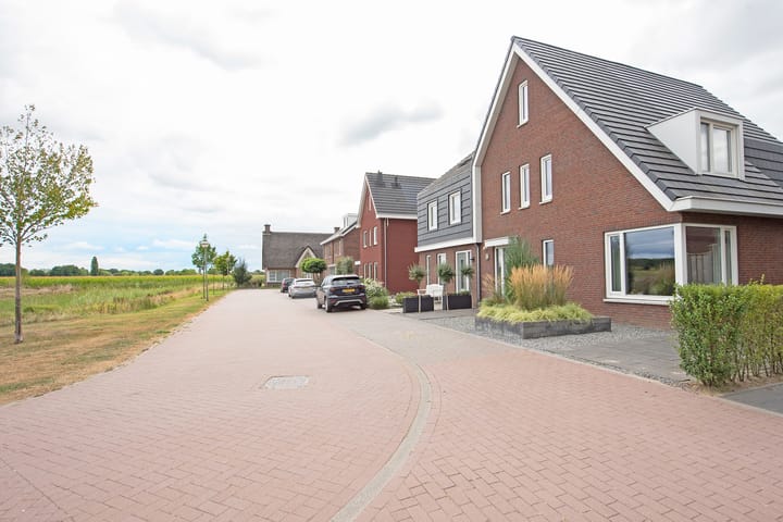 Foto 52 van Zomerappel 25