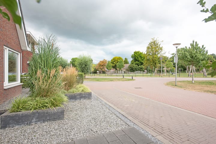 Foto 53 van Zomerappel 25