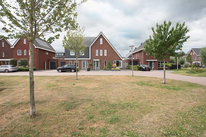 Foto 50 van Zomerappel 25