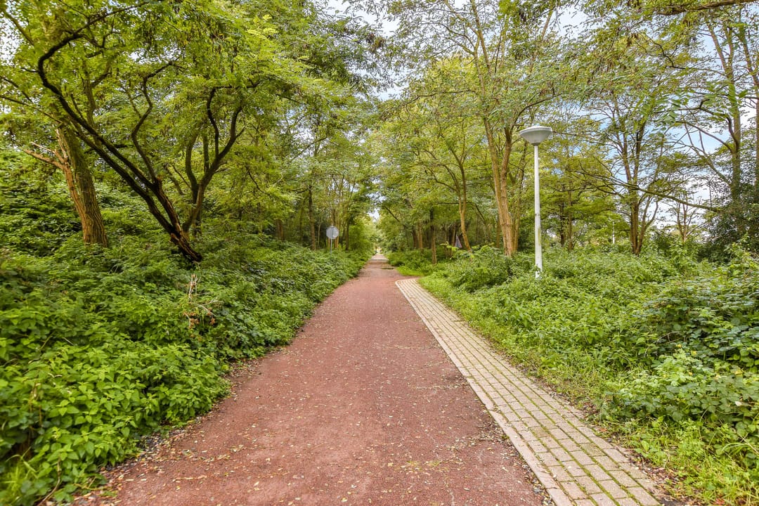 Foto 26 van Meelbeskamp 6