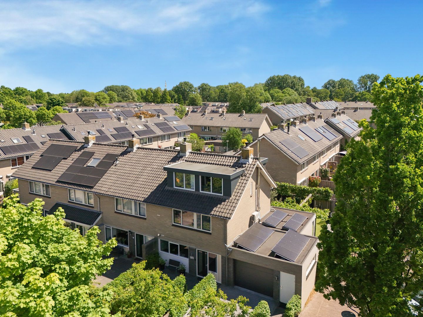 Foto 50 van Ganzerik 39