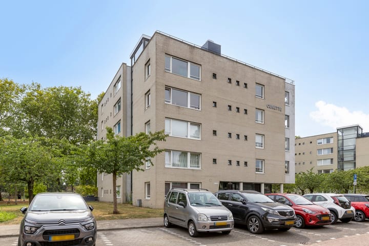 Henriette Ronnerstraat 124