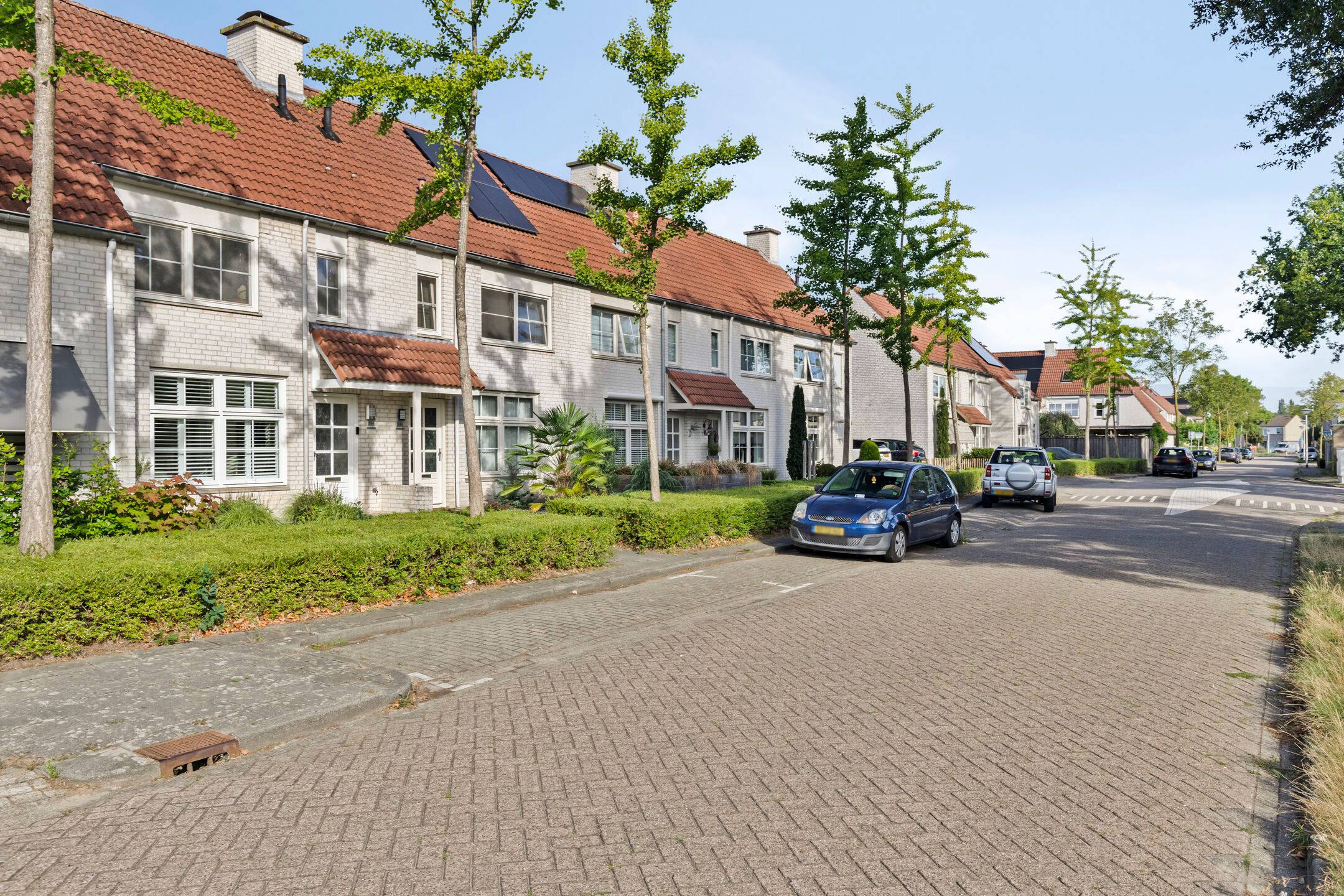 Foto 6 van de Bergen 104