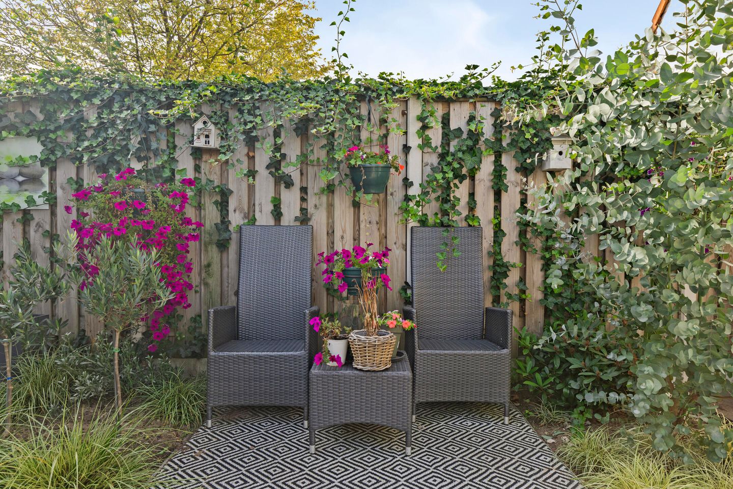 Foto 35 van de Bergen 104