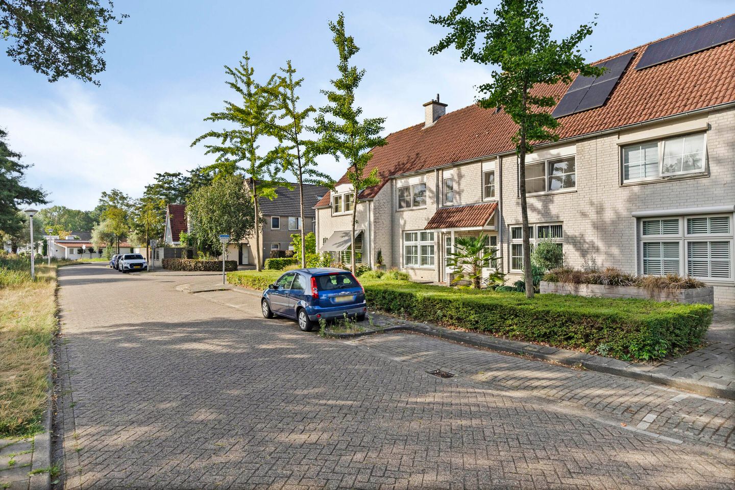 Foto 40 van de Bergen 104