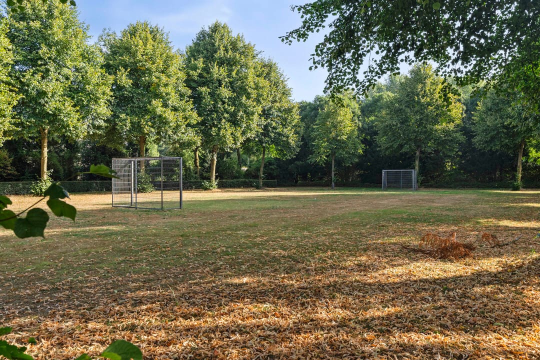 Foto 41 van de Bergen 104