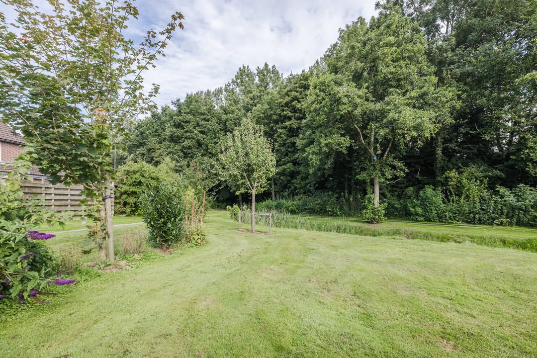 Photo 46 of Nijstukken 12