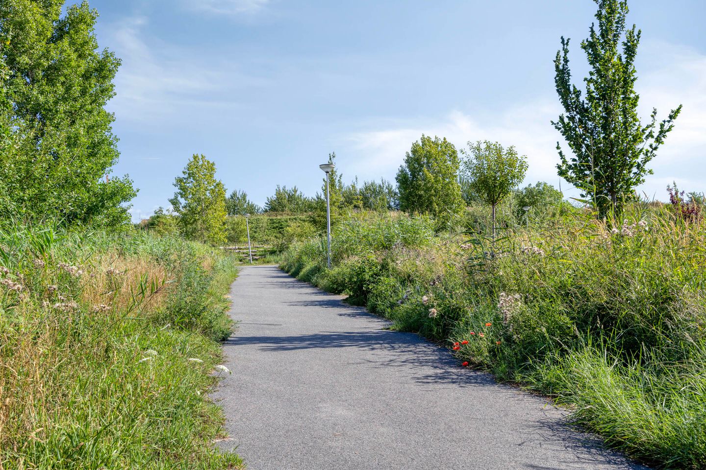 Foto 50 van Renaissancelaan 90