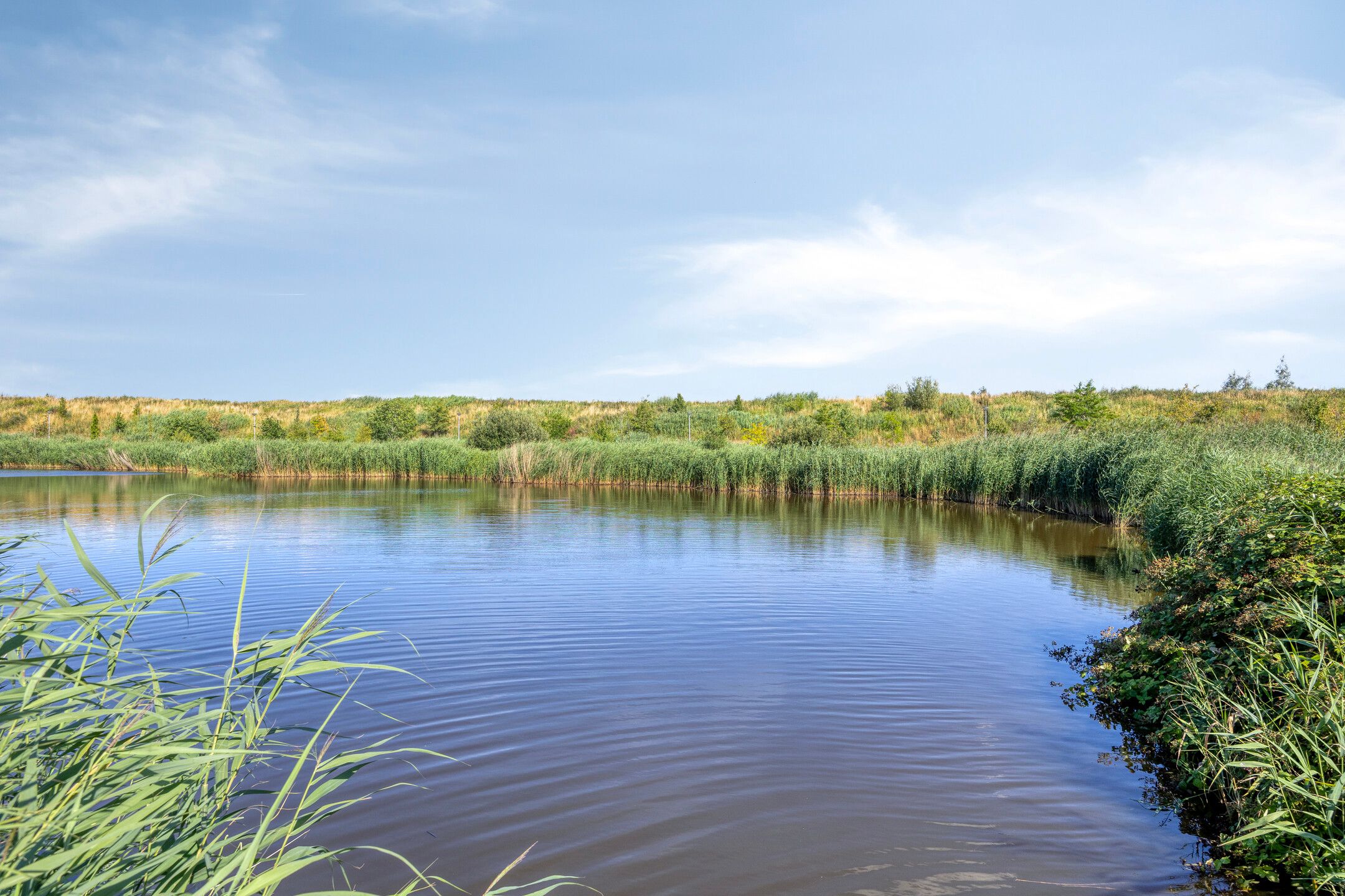 Foto 51 van Renaissancelaan 90