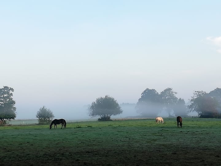 Photo 49 of Groote Veen 79