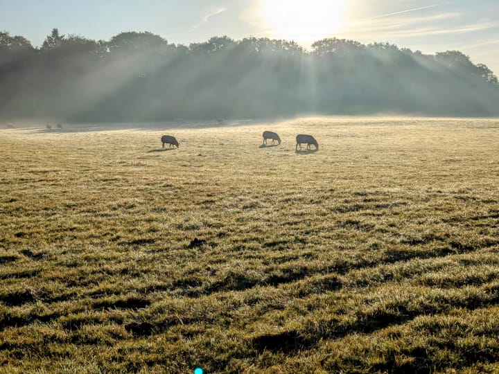 Photo 50 of Groote Veen 79