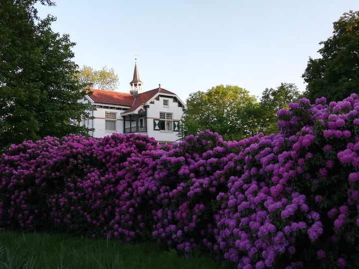 Photo 51 of Groote Veen 79