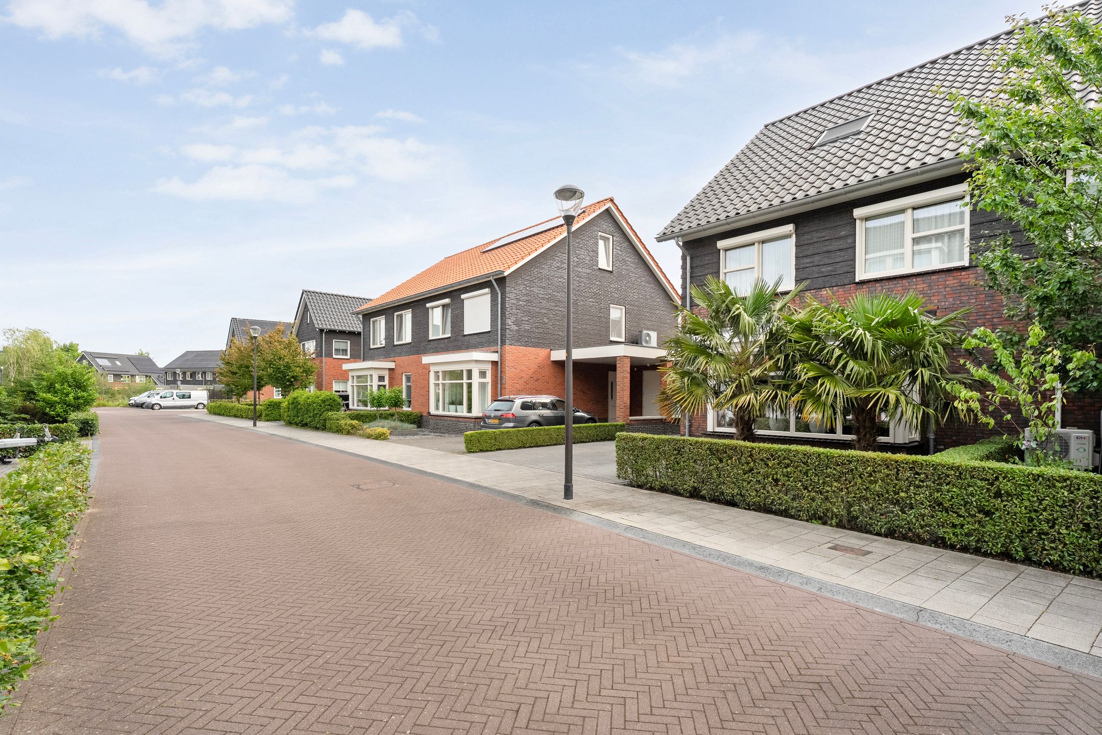 Foto 3 van Snoekbaars 8