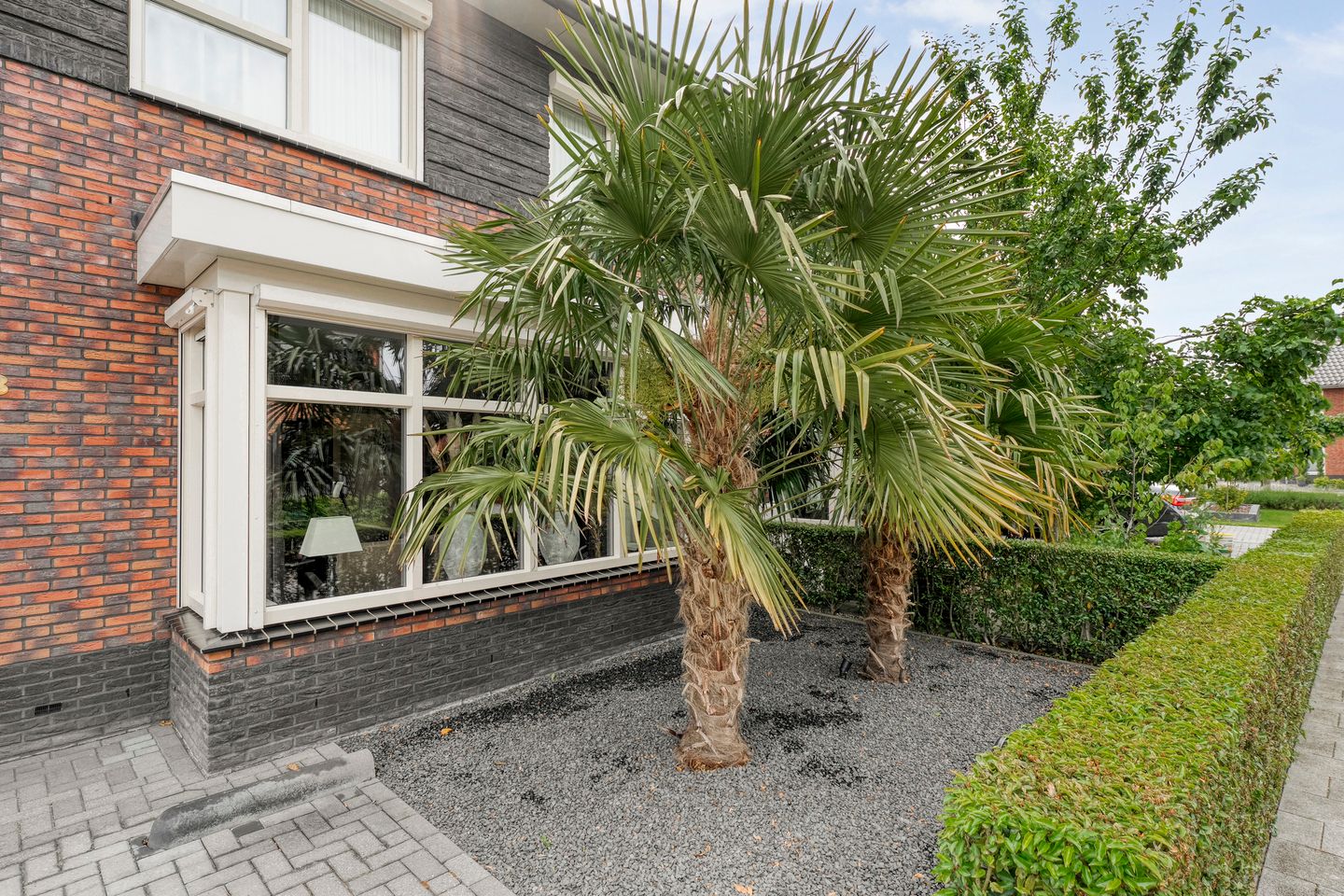 Foto 4 van Snoekbaars 8