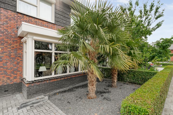 Foto 4 van Snoekbaars 8