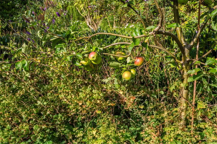 Foto 31 van Parelstraat 20