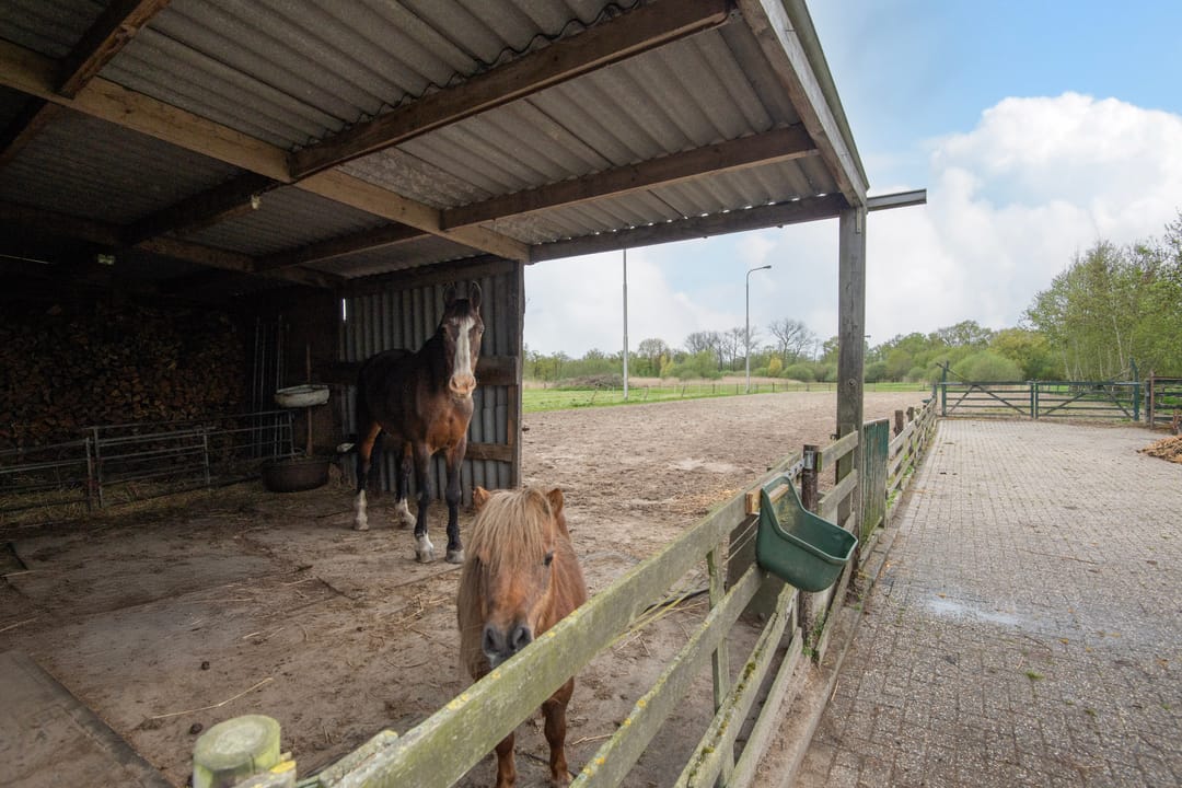 Foto 43 van Koperweg 11