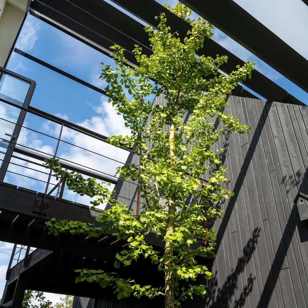 Foto 24 van Groene Hof 3