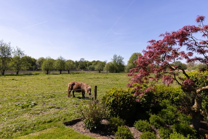 Photo 48 of Koperweg 11