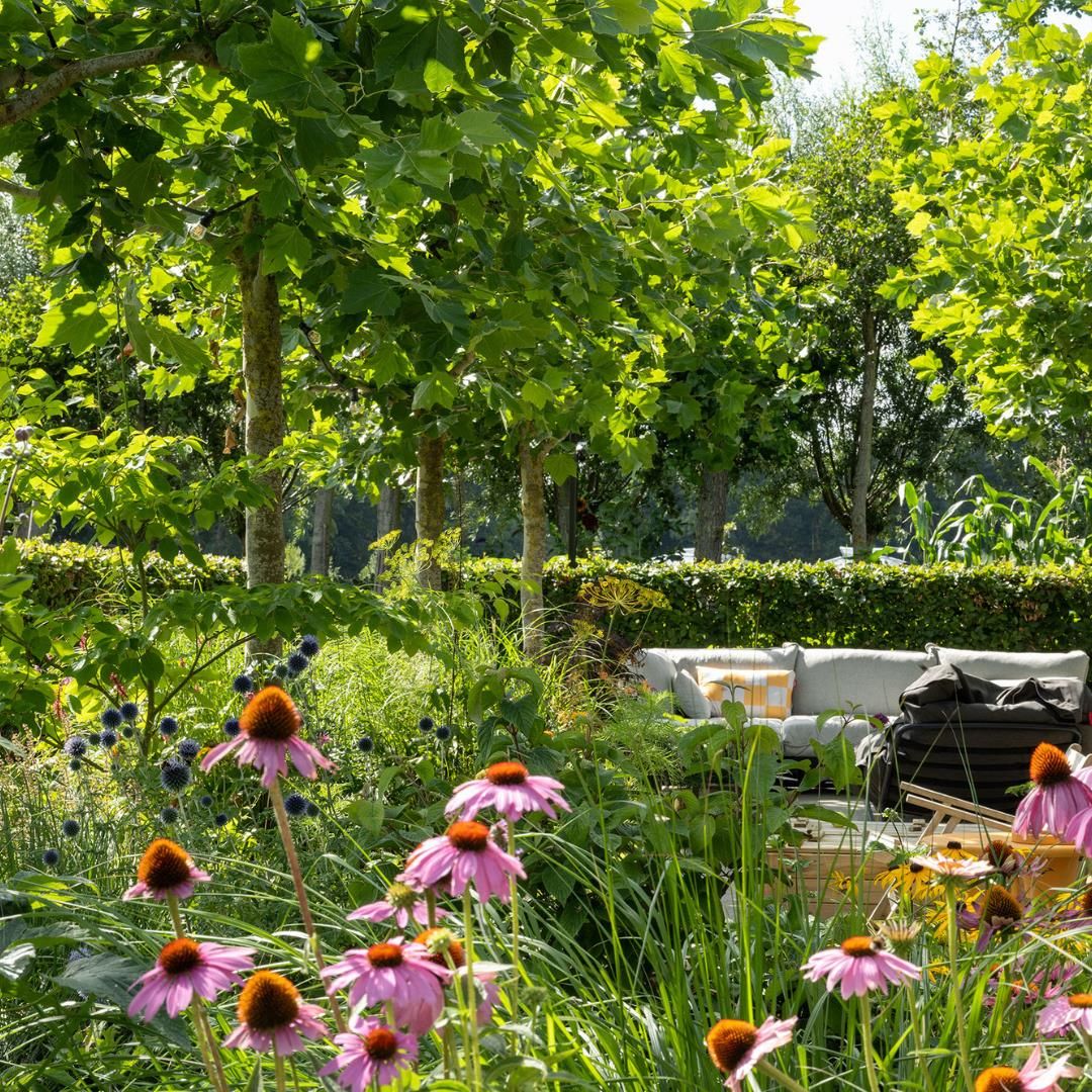 Foto 36 van Groene Hof 3