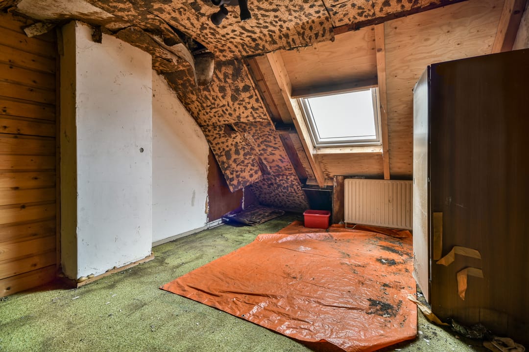 Foto 11 van Willem van Velsenstraat 26