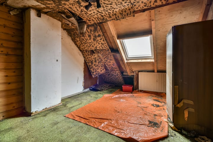 Foto 11 van Willem van Velsenstraat 26