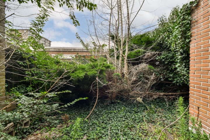 Foto 6 van Willem van Velsenstraat 26