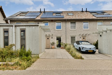 undefined main image