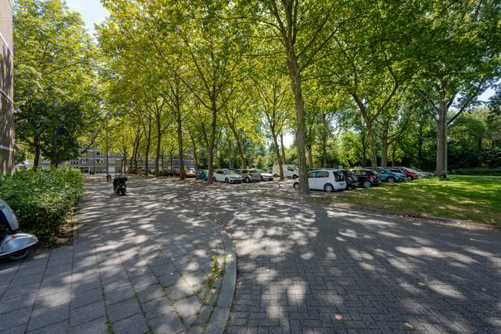 Foto 29 van Cornelis Bloemaertsingel 71