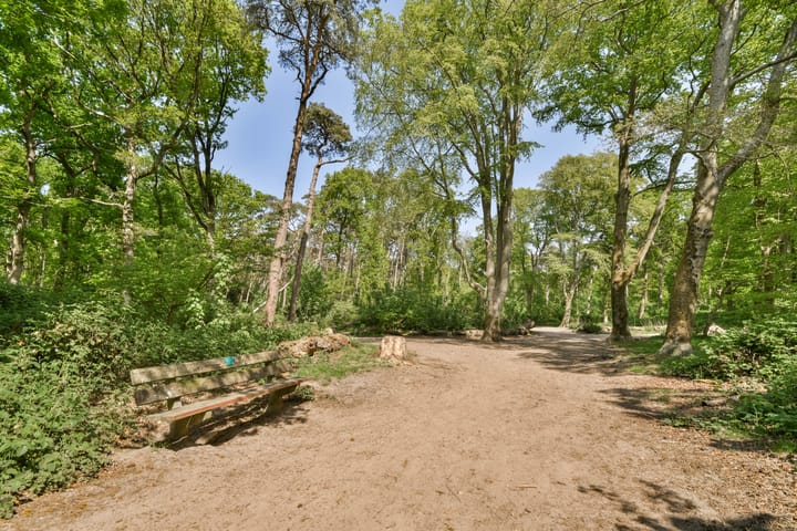 Foto 31 van Haringvlietplantsoen 4