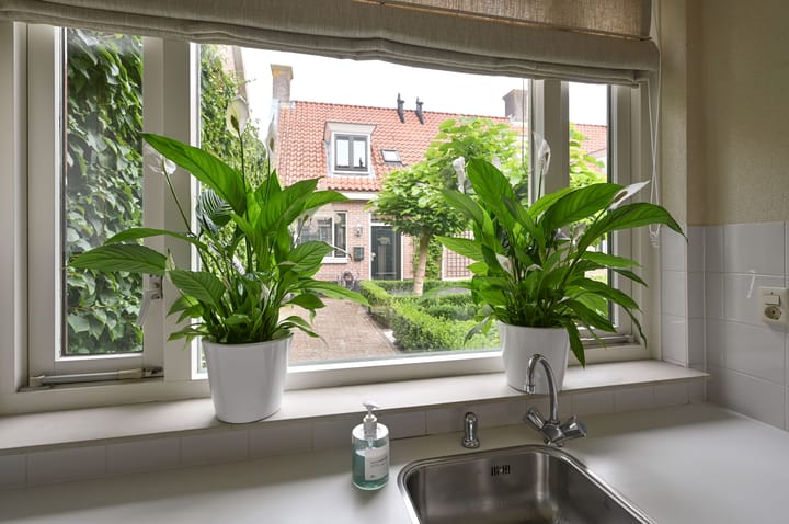 Foto 7 van Doolhofje 1