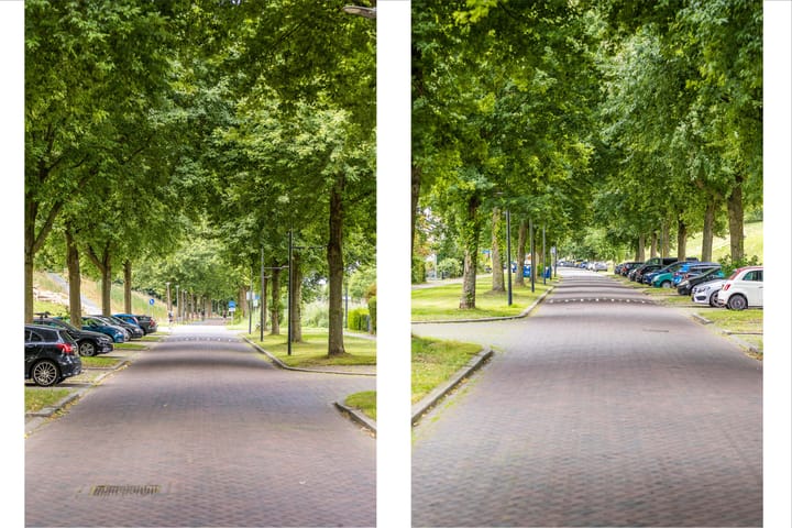 Foto 57 van Meerum Terwogtlaan 267