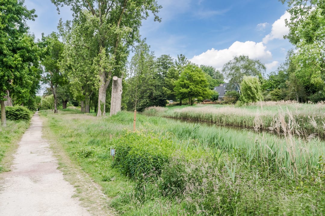 Photo 31 of Muzenlaan 68