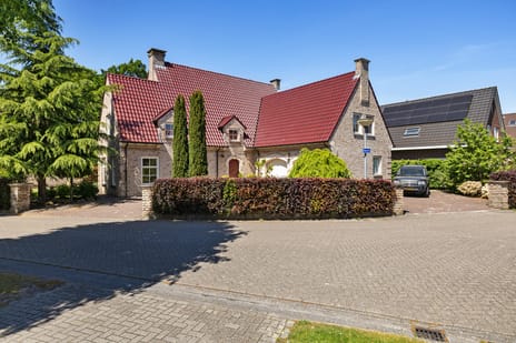 Bark 9 secondary image