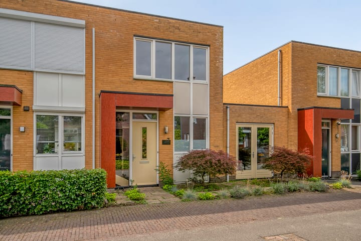 Foto 2 van Grasfonteinkruid 7