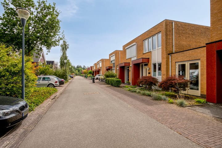 Foto 4 van Grasfonteinkruid 7