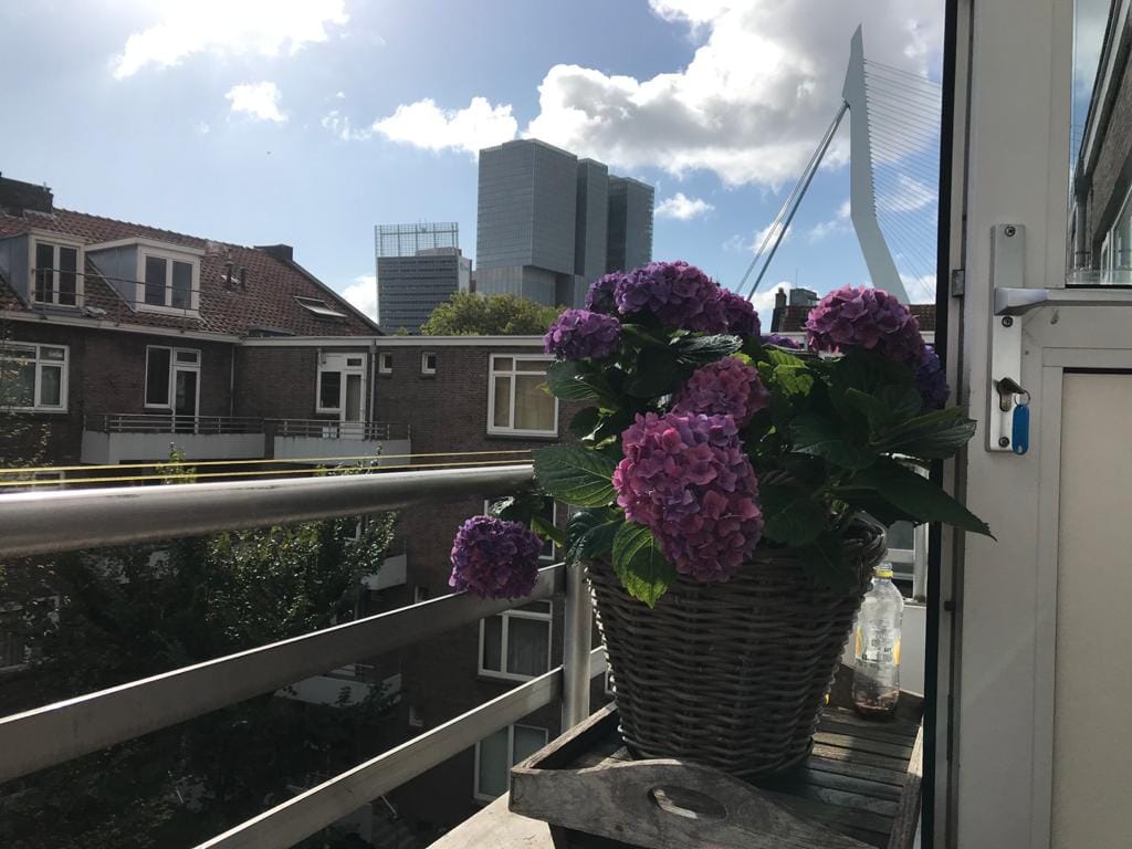 Foto 26 van Maaskade 159-D